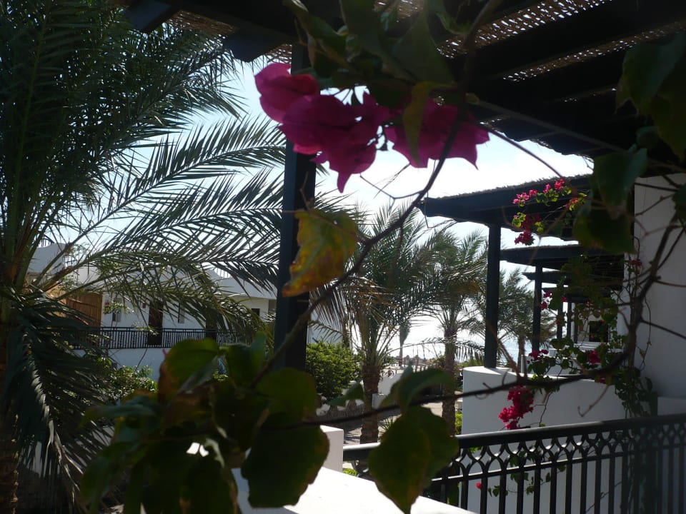 Było i morze JAZ Dahabeya