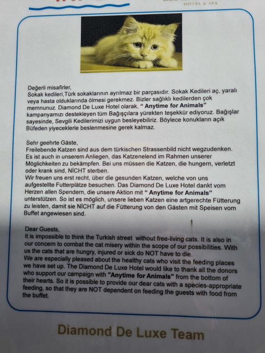 Sonstiges Diamond De Luxe Hotel & Spa