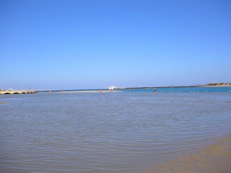 Hotelstrand bei Ebbe Pickalbatros Dana Beach Resort - Hurghada
