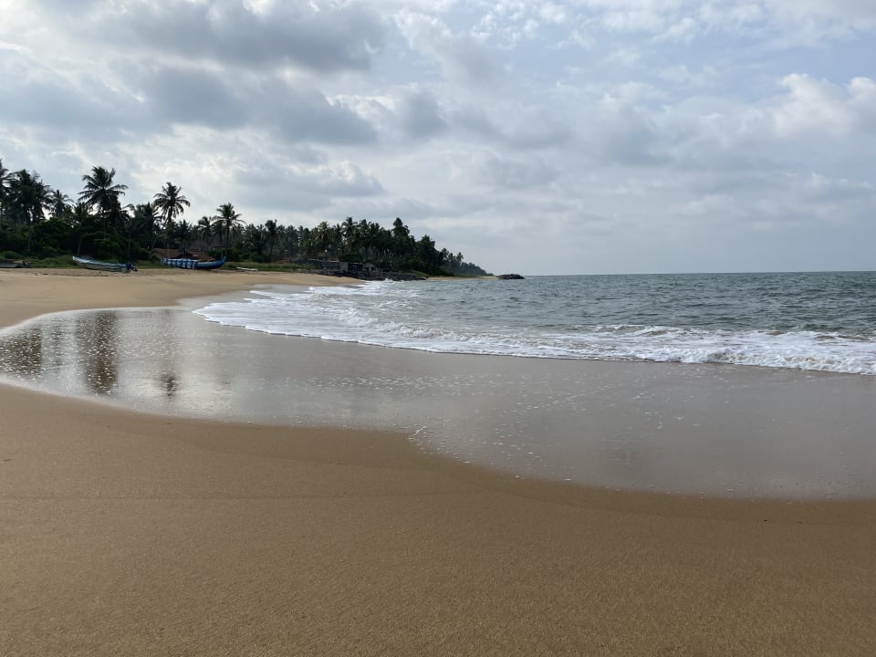 Strand Cinnamon Sea Health Care