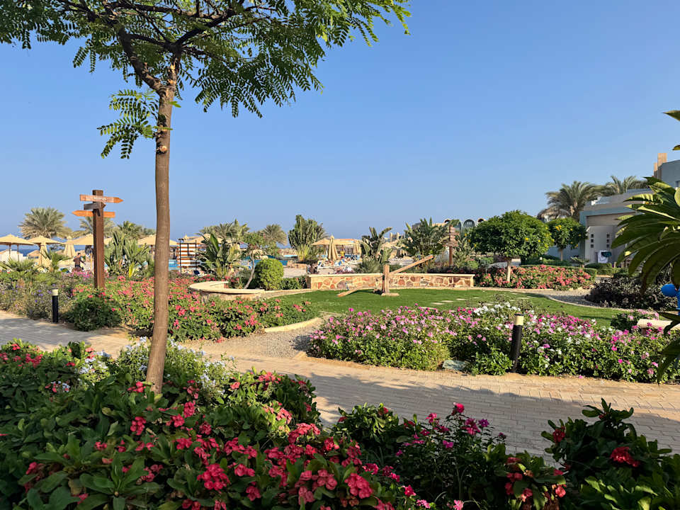 Gartenanlage Lazuli Hotel Marsa Alam