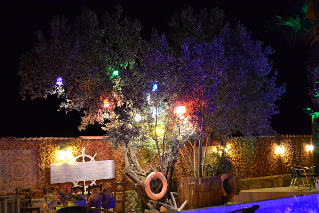 Pool Bodrum Oscar Hotel