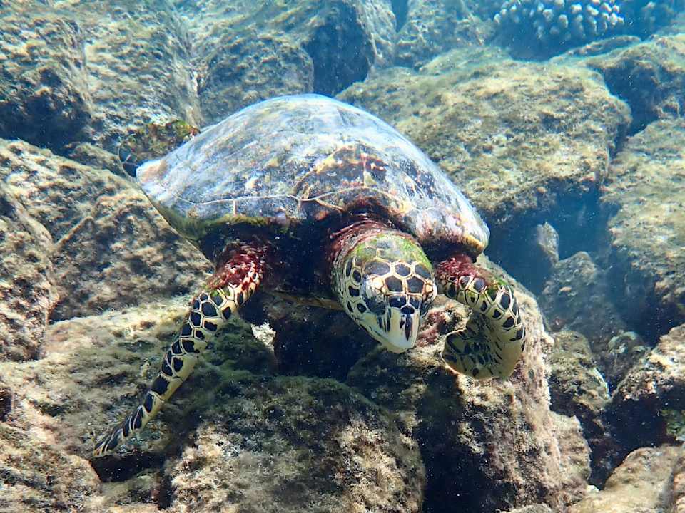 Strand Dreamland The Unique Sea & Lake Resort / Spa