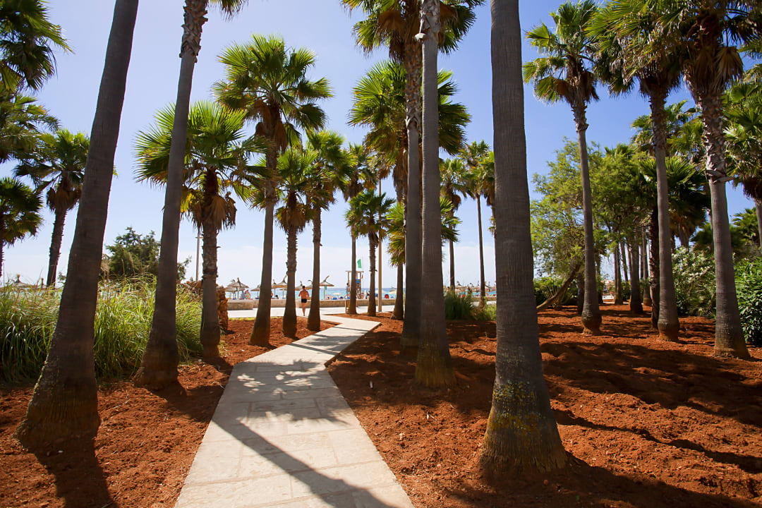 Strand Hipotels Mediterraneo Club