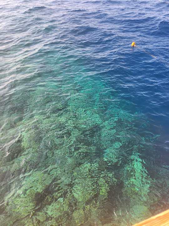 Strand Lazuli Hotel Marsa Alam
