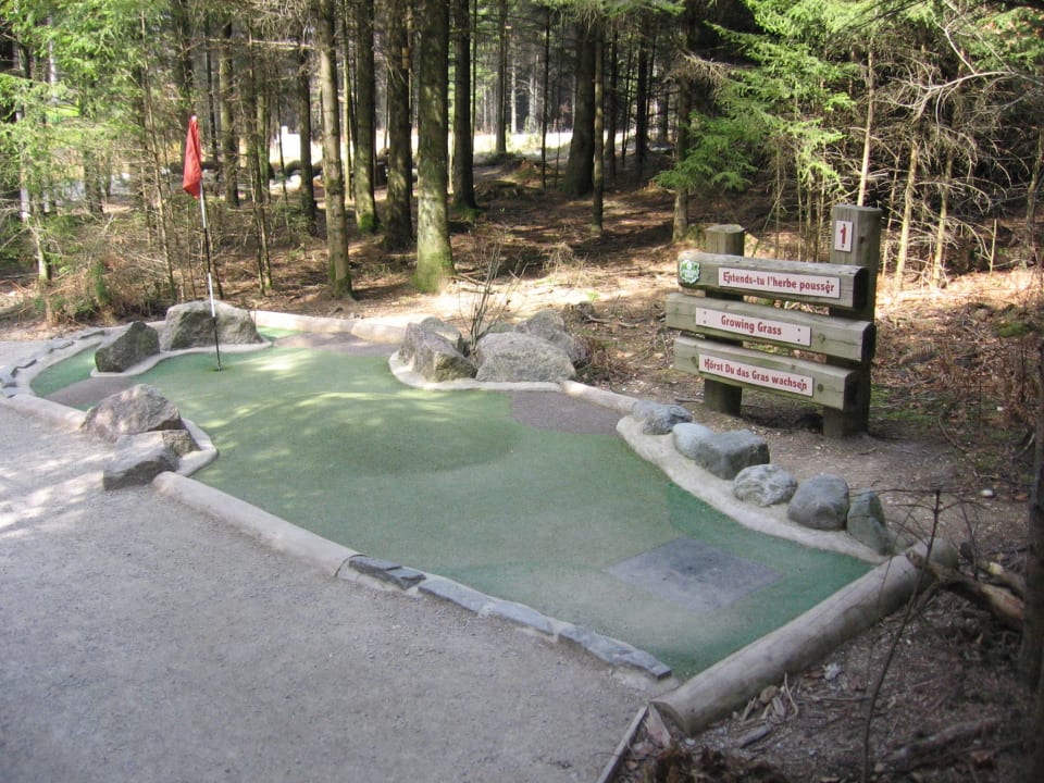 Minigolf Center Parcs Les Trois Forêts