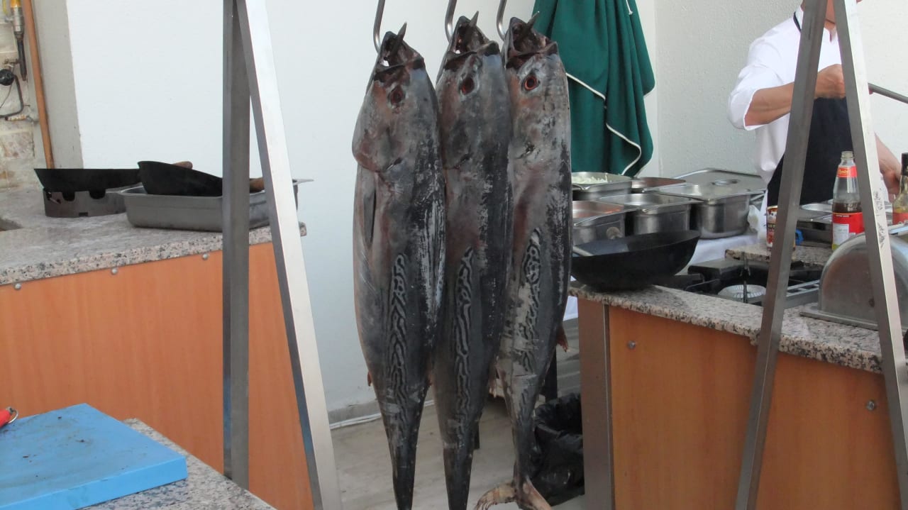 Frischer Thunfisch Korumar Hotel De Luxe