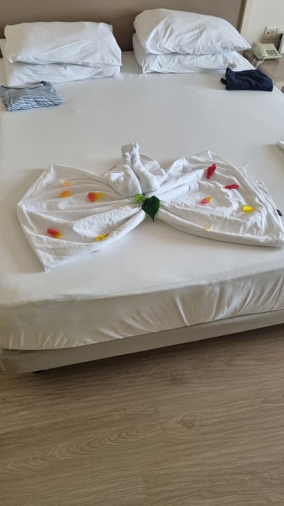 Zimmer Aydinbey Kings Palace & Spa