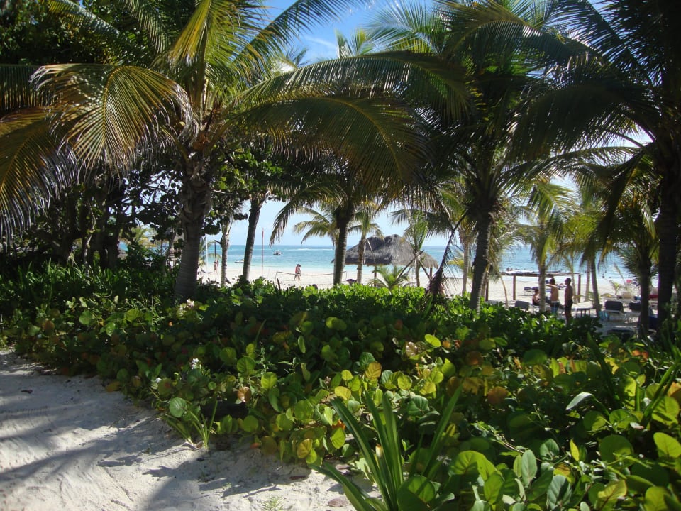 Hotel Catalonia Playa Maroma Catalonia Playa Maroma