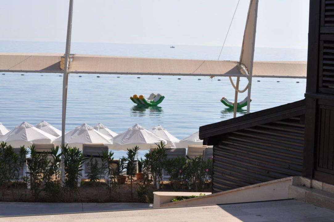 Sicht auf den Strand Crystal Flora Beach Resort