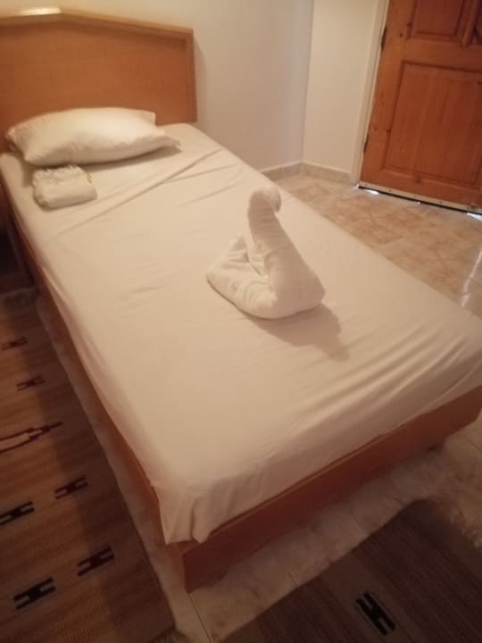 Zimmer Menaville Safaga