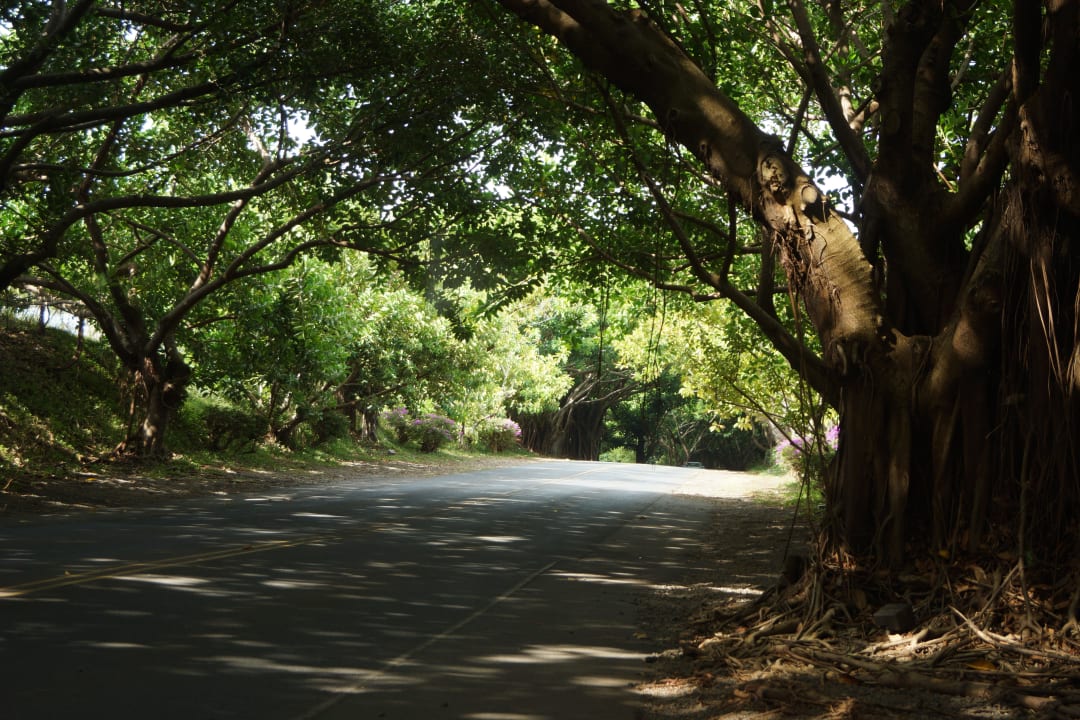Straße zum Hotel Aqua Kauai Beach Resort