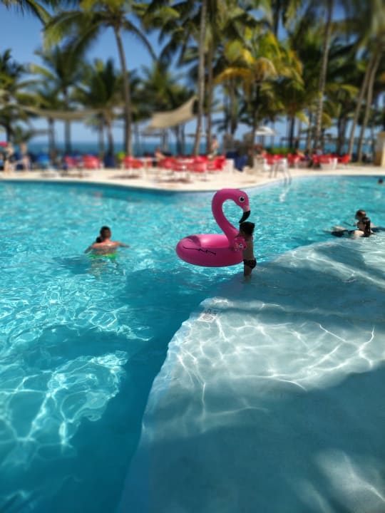 Pool Viva Tangerine by Wyndham - All Inclusive Resort