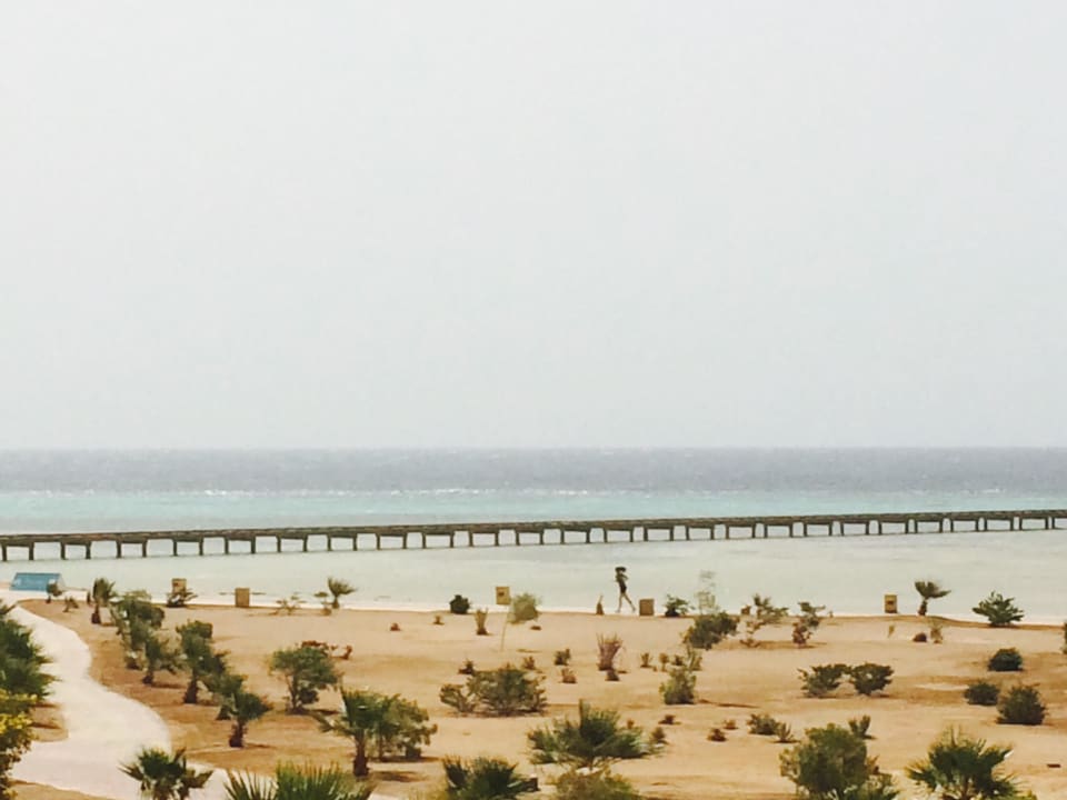 Blick vom Hotel auf das Hausriff Hotel Sheraton Soma Bay Resort