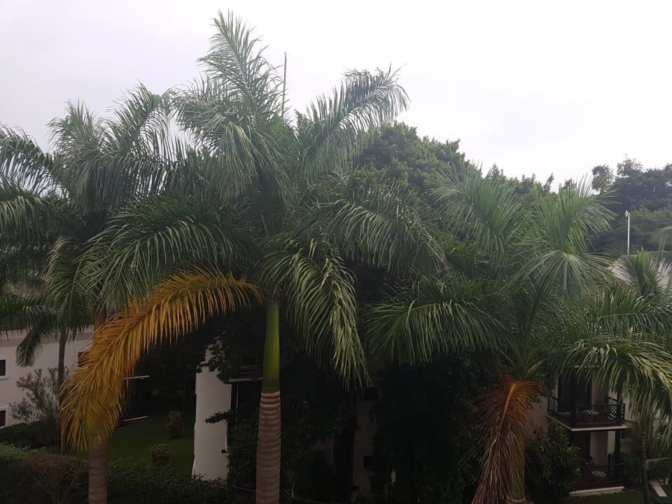 Ausblick Hotel Riu Palace Riviera Maya