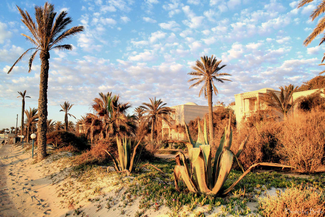 Der Blick vom Strand  Zita Beach Resort