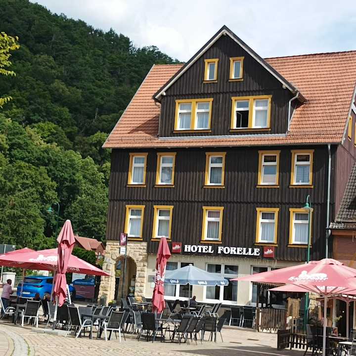 Außenansicht Ferienhotel Forelle