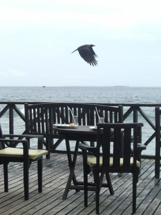 Hat auch Hunger Cinnamon Dhonveli Maldives