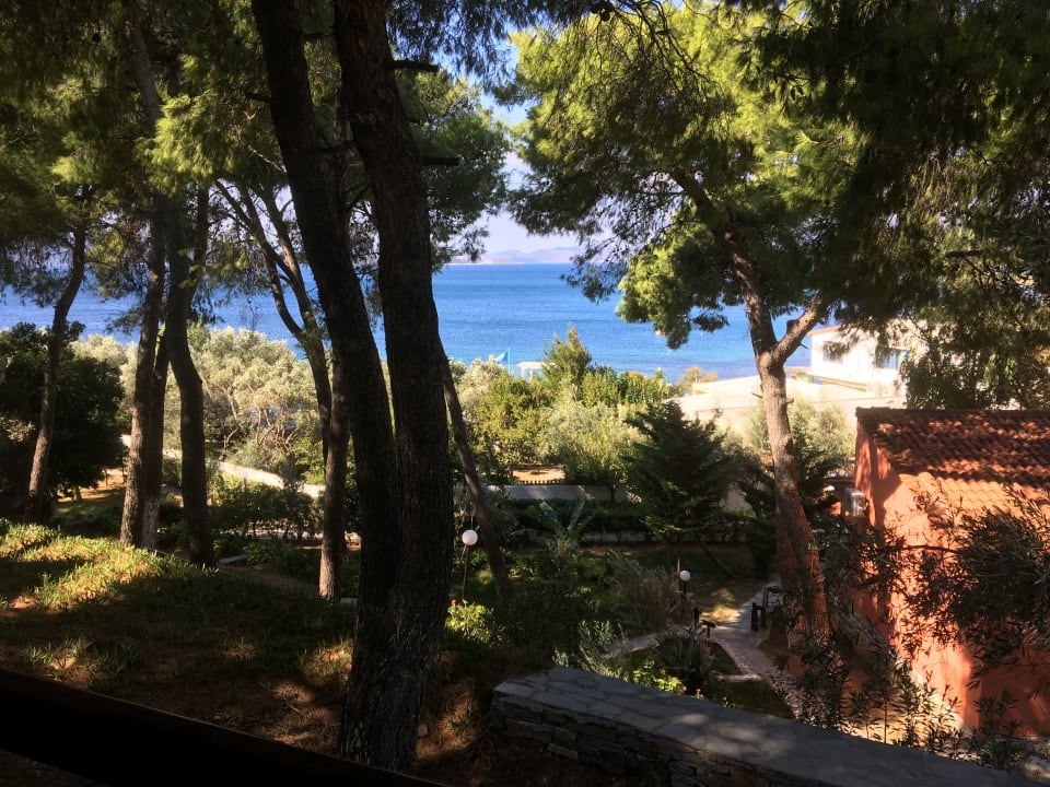 Zimmer Hotel Venus Beach