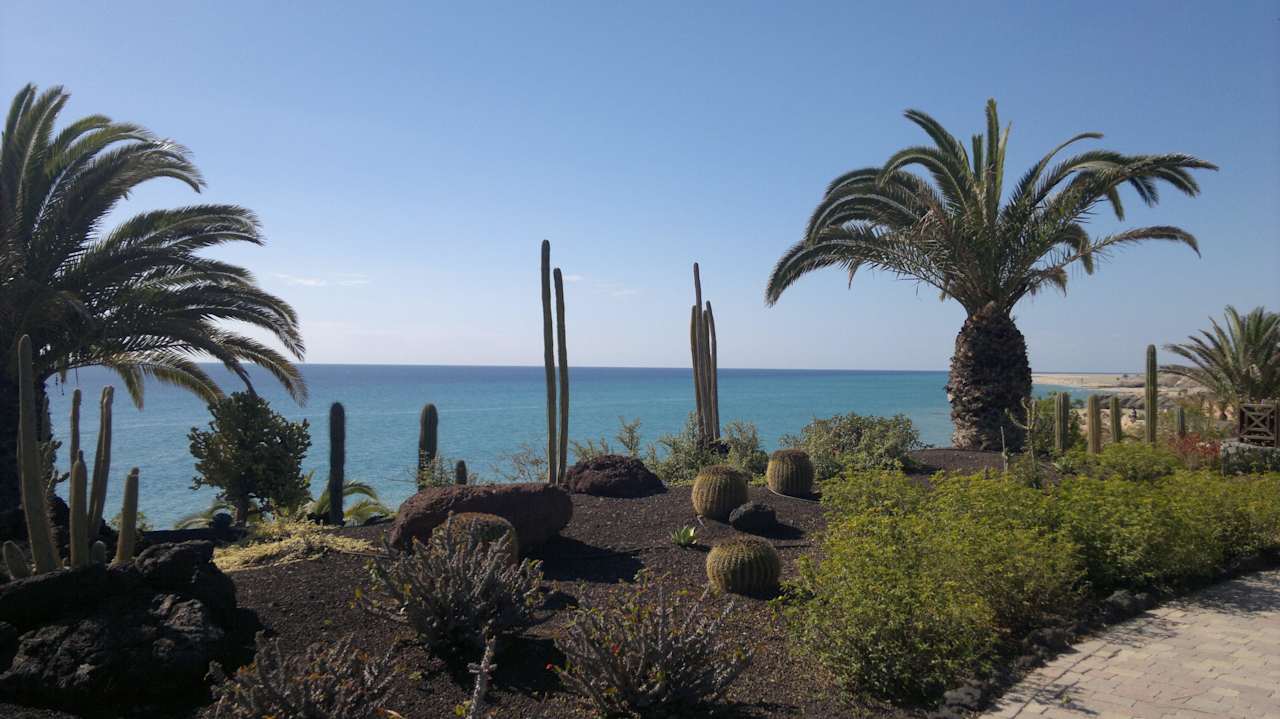 Garten mit Blick aufs Meer R2 Pajara Beach