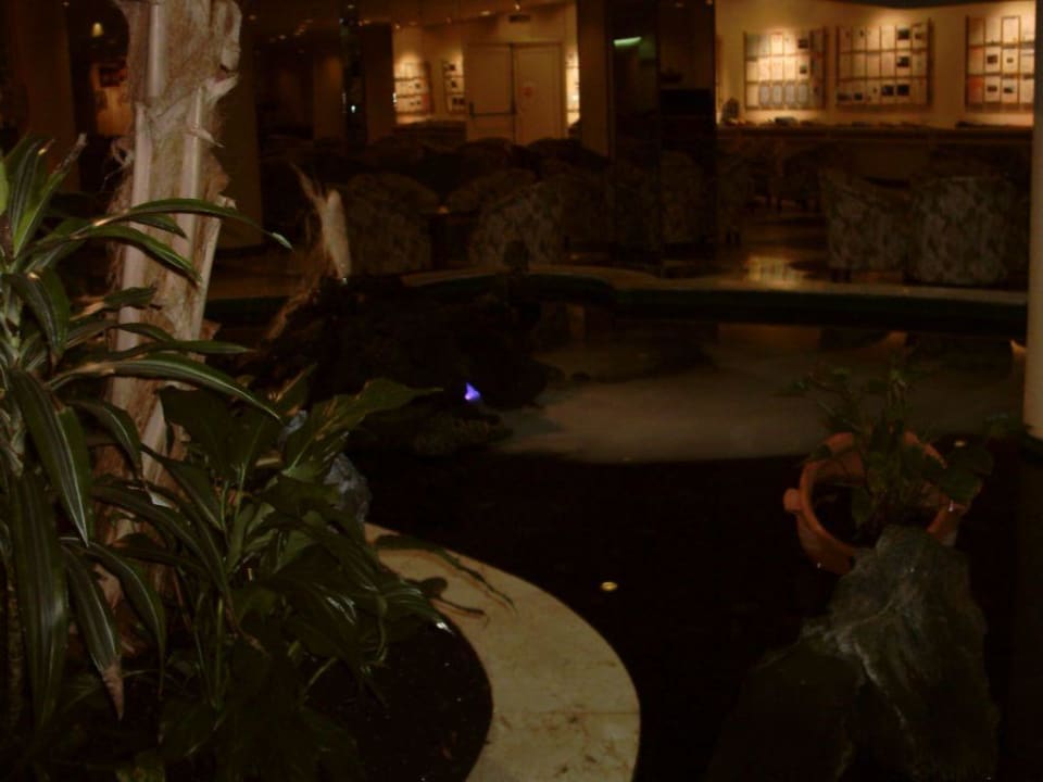 Halle 3 Melia La Palma Hotel