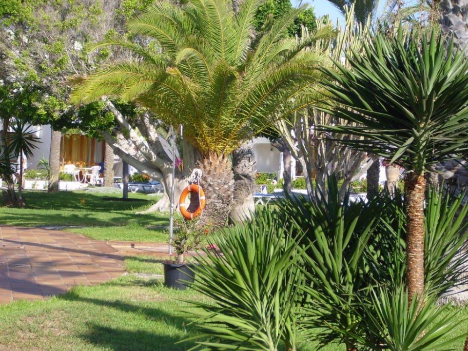 Pool-Anlage Sahara Beach Club