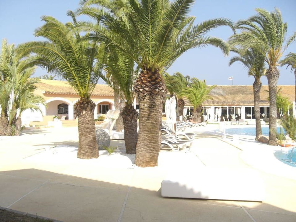 The One Ibiza Poolbereich Destino Pacha Ibiza Resort - Adults only