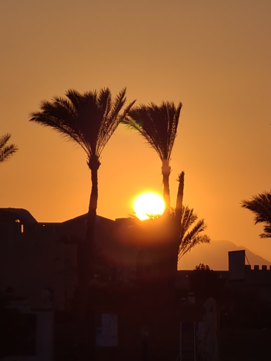 Ausblick Stella Garden Resort & Spa, Makadi Bay