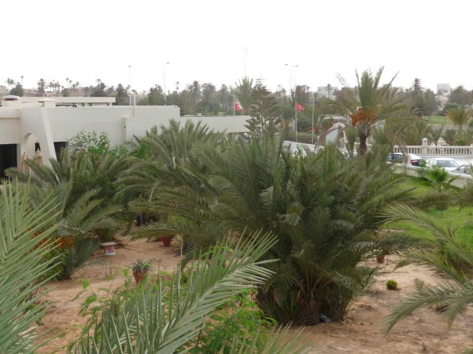Und noch ein blick vom balkon Djerba Aqua Resort