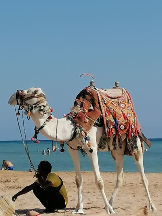 Strand Shams Safaga Resort