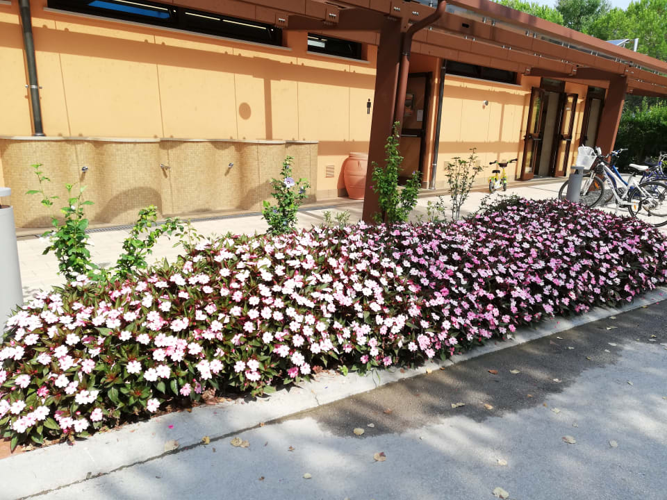 Gartenanlage Villaggio Europa Grado