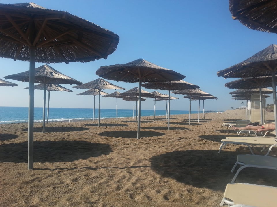 Ausreichend Sonnenschirme am Strand Asteria Bloom Side