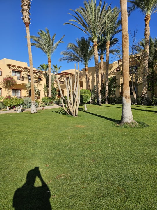 Gartenanlage Steigenberger Coraya Beach - Adults only