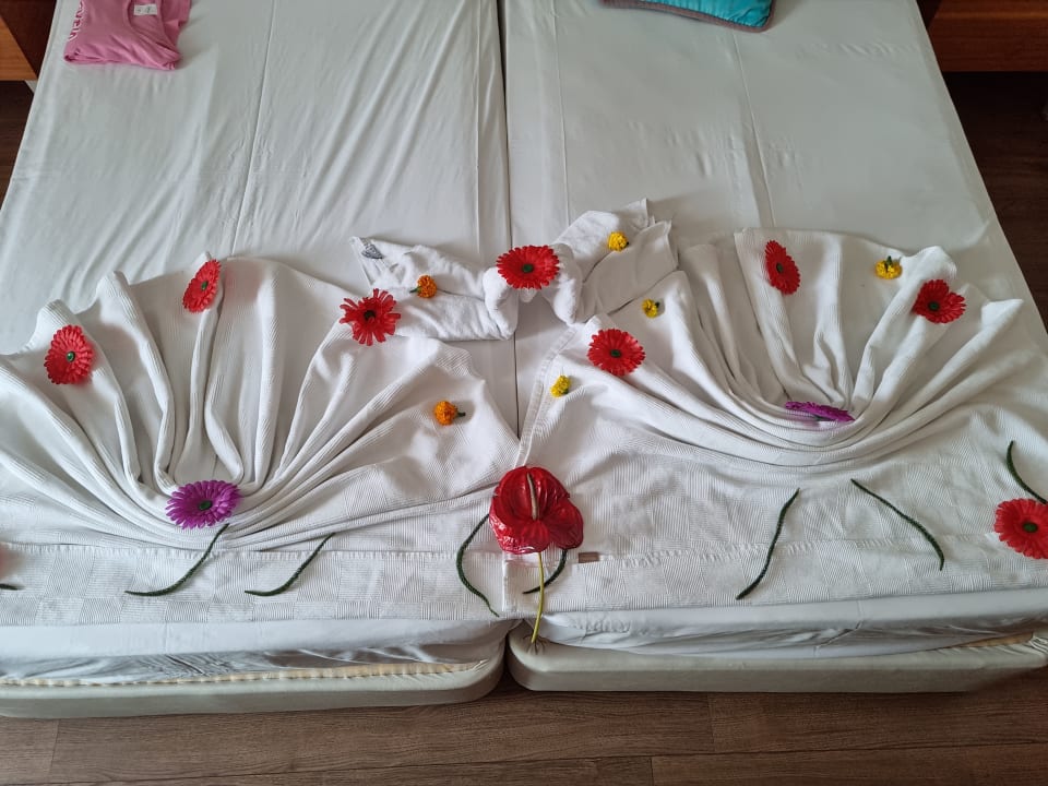 Zimmer Bella Resort & Spa