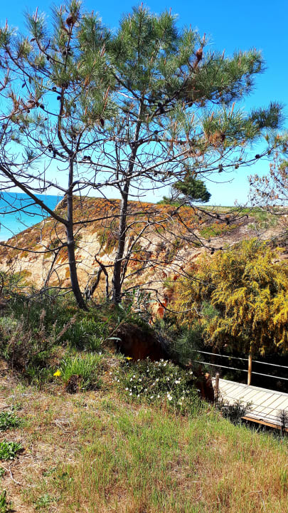 Strand PortoBay Falésia