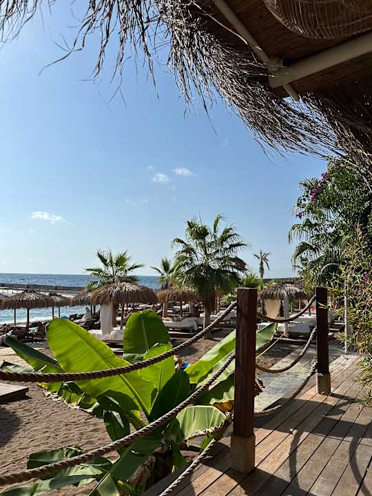 Strand Rubi Platinum Sign