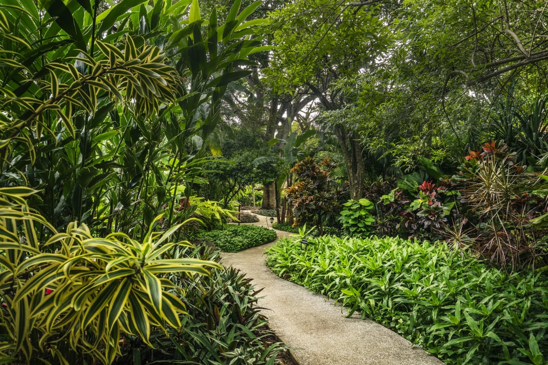 Gartenanlage Capitán Suizo Beachfront Boutique Hotel