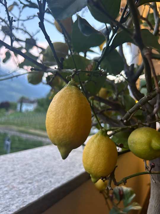 Ausblick Panoramahotel Himmelreich
