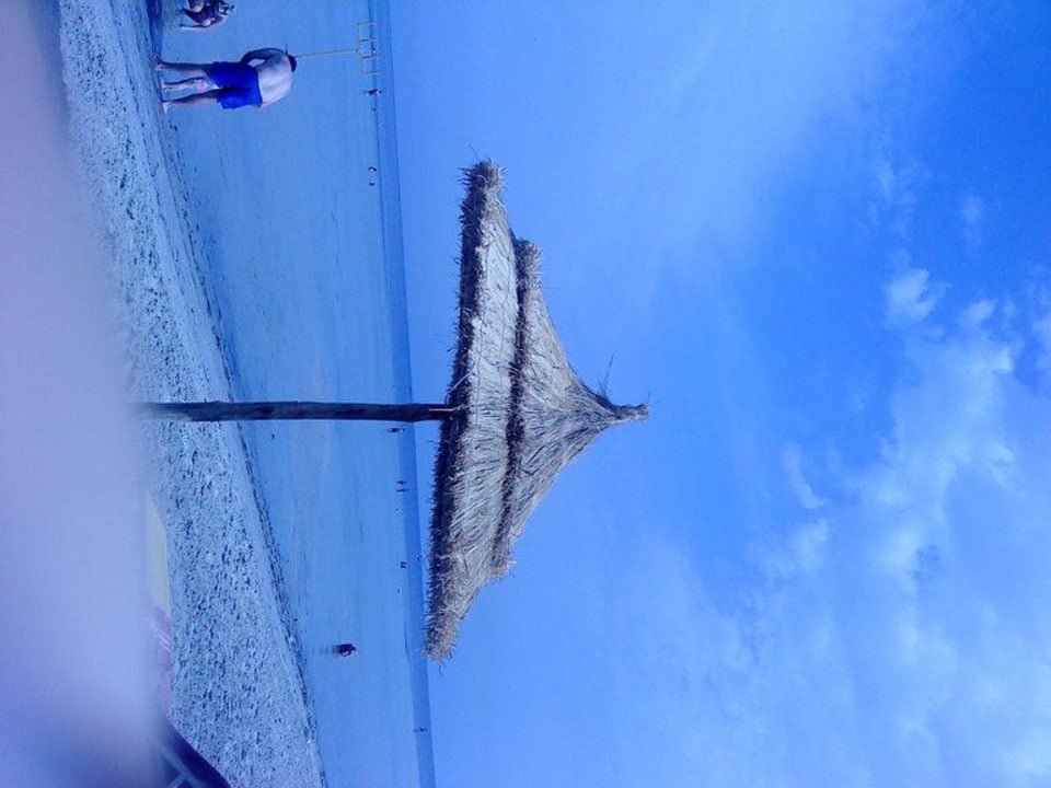 Strandschirm Palmyra Golden Beach