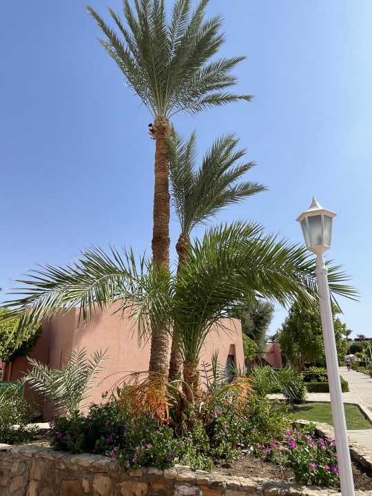 Gartenanlage Eagles Paradise Abu Soma