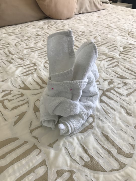 Zimmer Son Moll Sentits Hotel & Spa