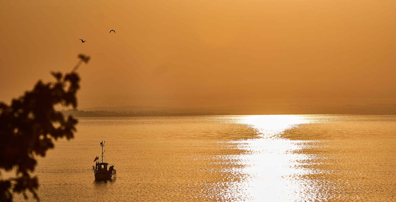 Ausblick BEECH Resort Boltenhagen