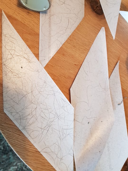 Zimmer Center Parcs Park Allgäu