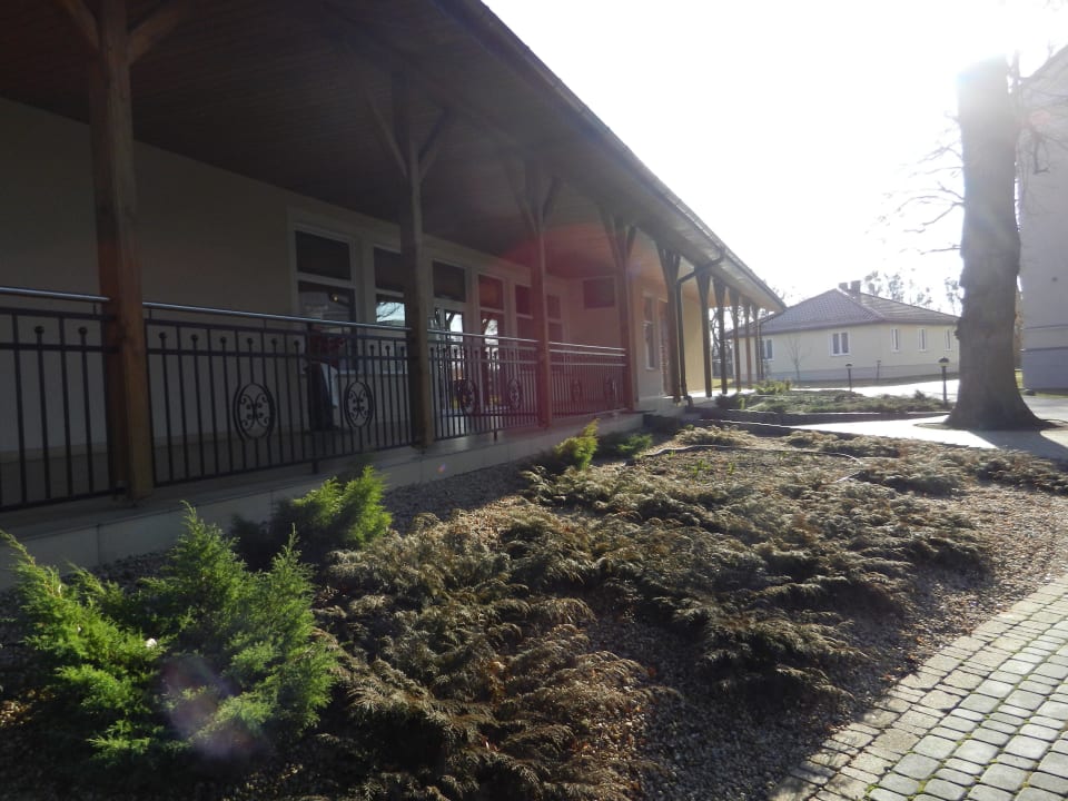 Restauracja Hotel Palac Pawlowice