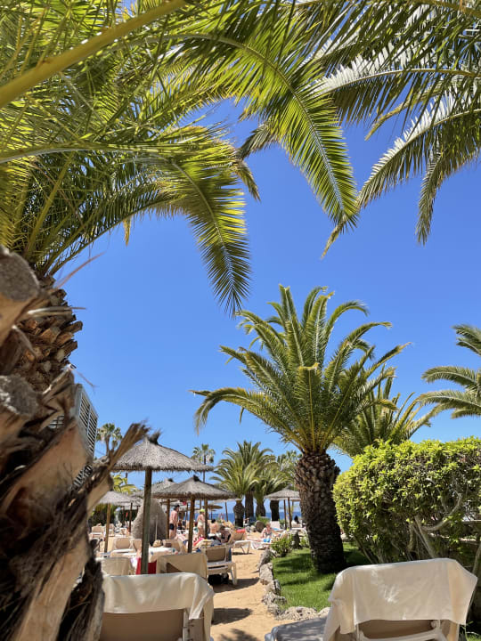 Pool Hotel Riu Arecas - Adults only