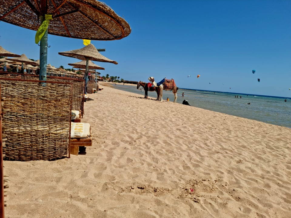 Strand Imperial Shams Abu Soma