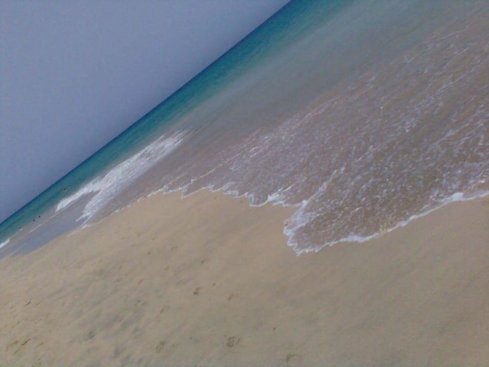 Toller Strand Fuerteventura Princess