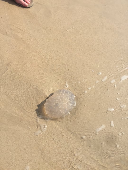 Strand Kantary Beach Hotel - KHAO LAK