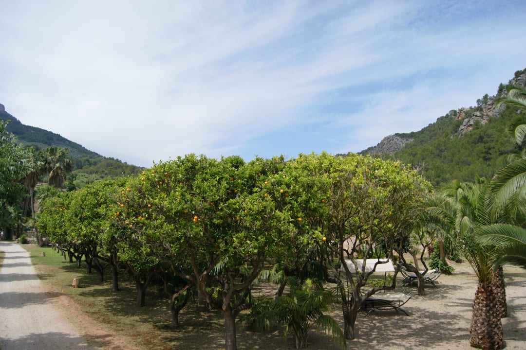 Ein wunderschöner Blick Finca Ca N'Aí