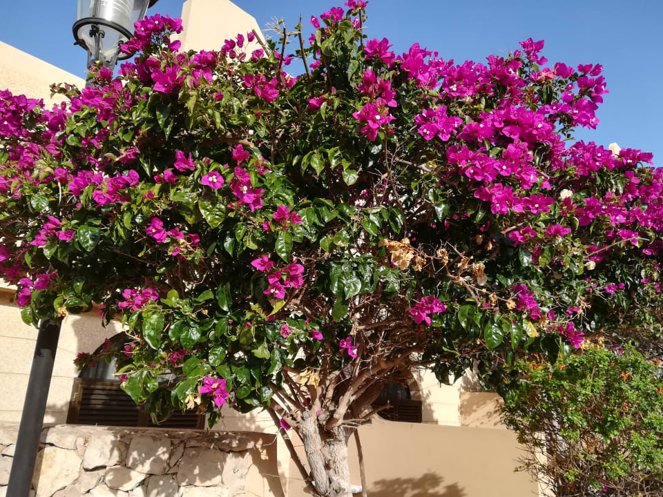 Außenansicht SBH Hotel Taro Beach